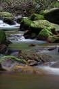 6BK3110_secret_waters.jpg