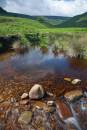 6BK3547_crowden_great_clough_and_laddow_rocks_in_summer.jpg