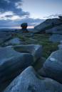 6BK3694_back_Tor_summer_twilight.jpg