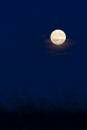 6BK3774_moonrise_over_holme_moss.jpg