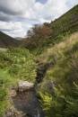 6BK4165_shropshire_hills_view.jpg