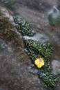 6BK4290_beginnings_of_autumn.jpg