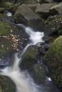 6BK4356_padley_gorge_flow_detail.jpg