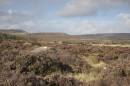 6BK4402_burbage_valley_from_longshaw.jpg