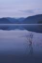 6BK5193-2_derwent_dawn_portrait.jpg