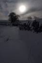 6BK5499_moonlit_silhouettes_woodhead.jpg