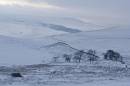 6BK5532_winter_woodhead_landscape.jpg