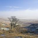 6BK5798_a_break_in_the_fog.jpg