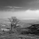 6BK5798_freezing_fog_woodhead.jpg