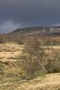 /gallery/data/2/thumbs/6BK5976_higgar_tor_in_stormy_light_from_longshaw.jpg