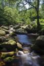 6BK9062_Near_Black_Clough_Longdendale.jpg