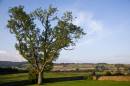 6BK9499_evening_pastures_Romaldkirk.jpg