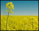 9th_May0053.jpg
