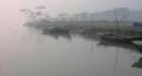 AR004702.jpg