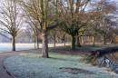 A_Cold_Frosty_Morning_2.JPG