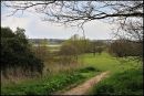 A_Essex_Countryside_path_.jpg