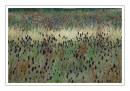 A_Field_of_Textures.JPG