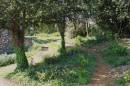 A_Spring_Day_2.jpg