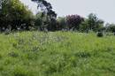 A_Spring_Day_3.jpg