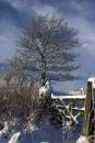 A_winters_Day.jpg