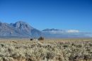 Abandoned_ARC_0754_web1000.jpg