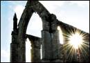 Abbey-Sunburst-jpg.jpg