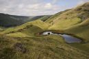 Alport-dale-summer.jpg