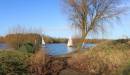 Ardleigh_Reservoir_2.jpg