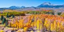 Aspen-Hunt-3_copy.jpg