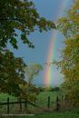 Autum_Rainbow_P_web.jpg