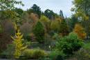 Autumn-Colour.jpg