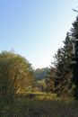 Autumn-Glade.jpg