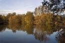 Autumn-Tints.jpg