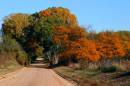 Autumn-country-lane-web.jpg