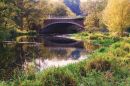 Autumn_Colours2.jpg