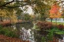 Autumn_Colours3.jpg
