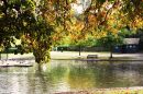 Autumn_Colours_2.jpg