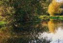 Autumn_Colours_by_the_rier.jpg