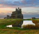 Autumn_Gold_at_Whitby.jpg