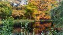 Autumn_Lake-2.jpg