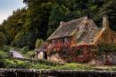 Autumn_in_N_Yorkshire.jpg