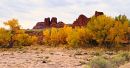 Autumn_in_Red_Rock_Coiuntry_JRE9374_20X38_levels_.jpg