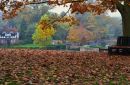 Autumn_in_the_Park.jpg