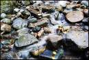 Autumn_leaves_Wet_rocks.jpg