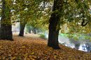 Autumn_on_the_River_Colne.jpg