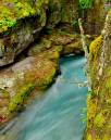 Avalanche_Creek_D700_0612_11x14.jpg