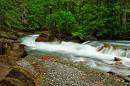 Avalanche_Creek_D700_0657_12x8.jpg