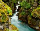 Avalanche_Creek_D700_0678_14x11.jpg