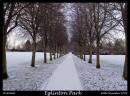 Avenue1.jpg