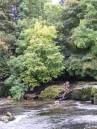 Aysgarth.jpg